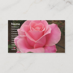 Rosa ros Affärskort Visitkort