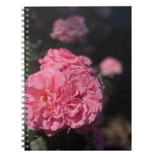 Rosa ros anteckningsbok