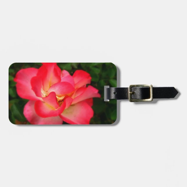 Rosa ros  Bagageetikett med läderrem Bagagebricka (Horisontell Framsida)