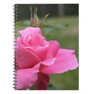 Rosa ros bärbar dator anteckningsbok med spiral