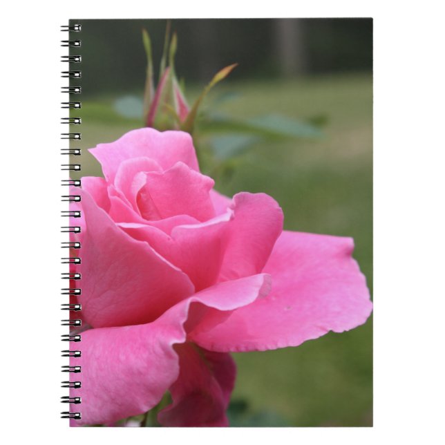 Rosa ros bärbar dator anteckningsbok med spiral (Framsidan)