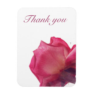 Rosa ros. blom- illustration magnet