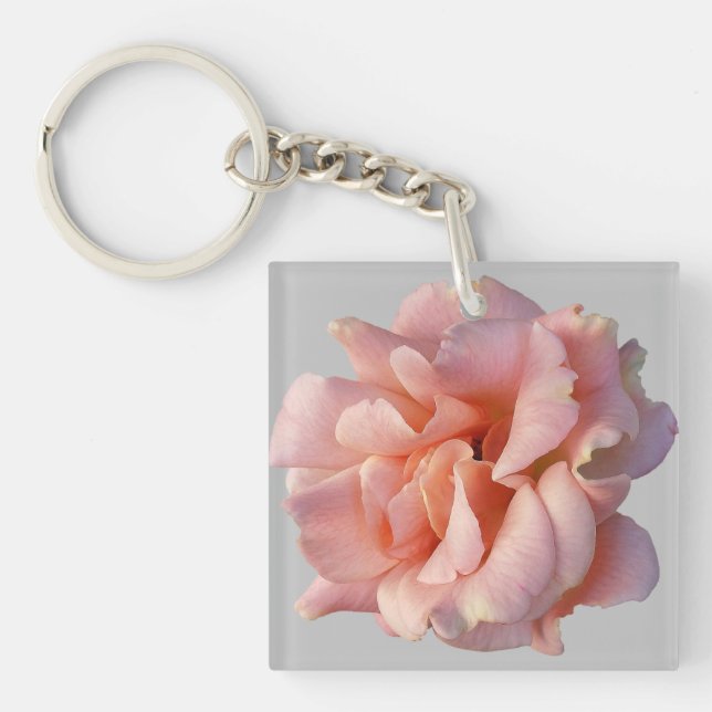 rosa ros-blomma (Framsidan)