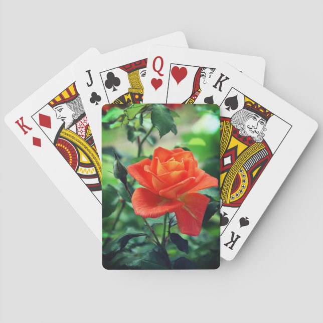 Rosa ros blomma-46458 casinokort (Baksidan)