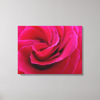 Rosa ros blomma Fina konsttryck Rosor Blommig Canvastryck