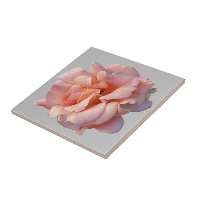 rosa ros-blomma kakelplatta (Sidan)