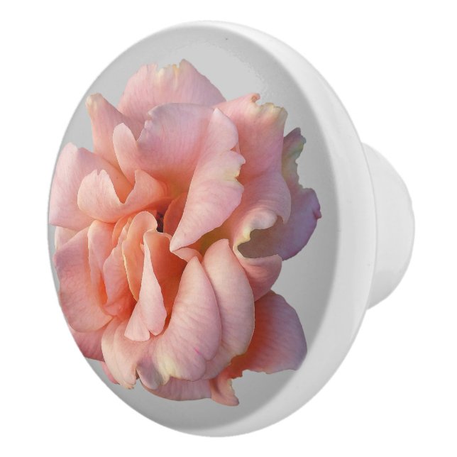 rosa ros-blomma knopp (Höger)