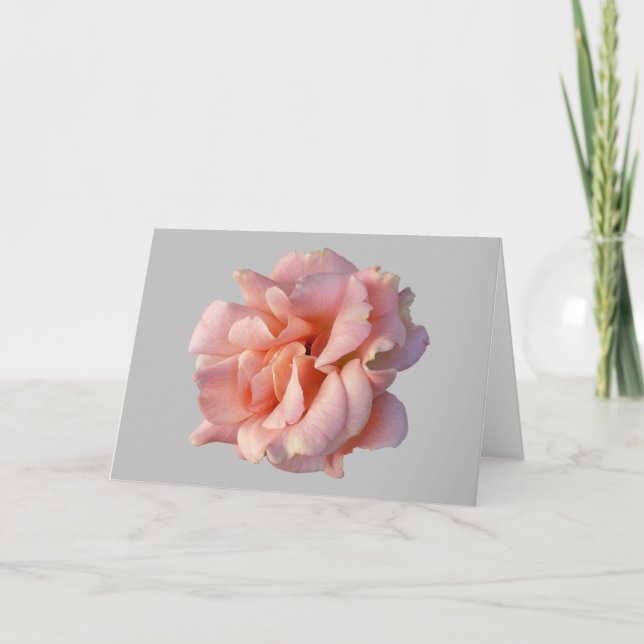 rosa ros-blomma kort (Framsida)