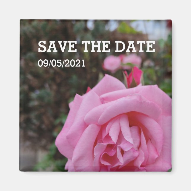 Rosa ros blomma magnet (Framsidan)