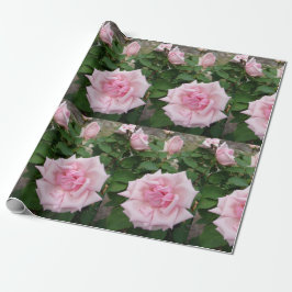 Rosa ros blommor blommigt Wrapping Presentpapper