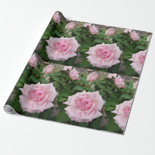 Rosa ros blommor blommigt Wrapping Presentpapper