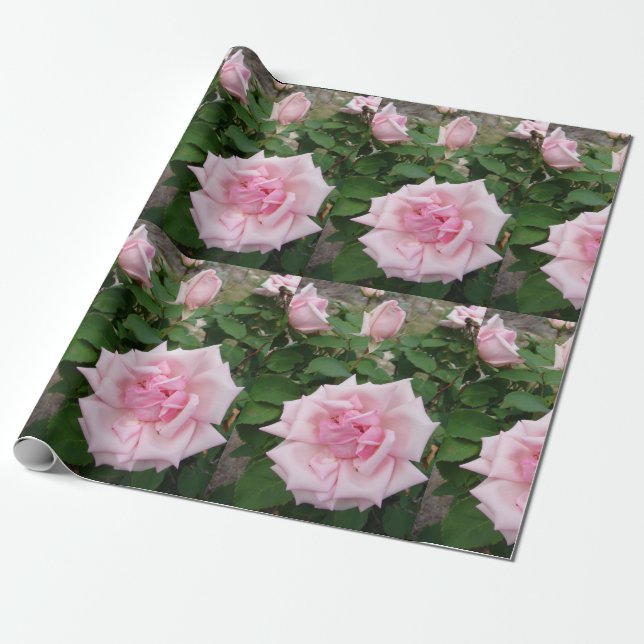 Rosa ros blommor blommigt Wrapping Presentpapper (Utrullad)