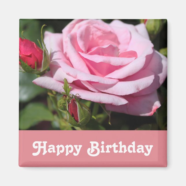 rosa ros blommor grattis på födelsedagen, kärlek,  magnet (Framsidan)