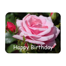 rosa ros blommor grattis på födelsedagen, kärlek, magnet