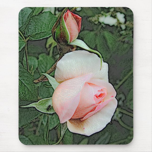 rosa ros blommor musmatta (Framsidan)