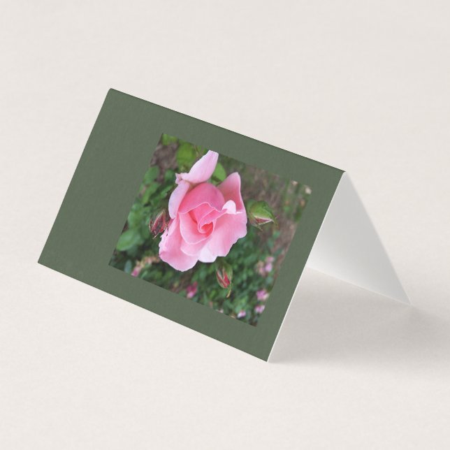 rosa ros blomning kort (Framsida)