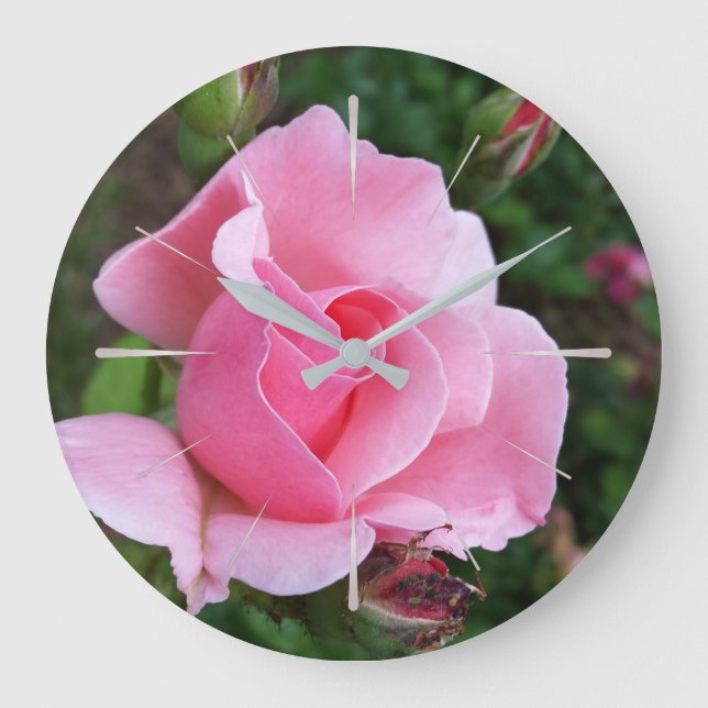 rosa ros blomning stor klocka (Framsida)