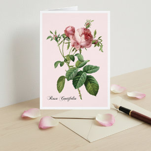 Rosa ros botaniskt konturteckningskort OBS kort