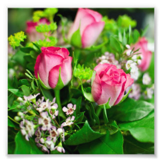 Rosa ros Bouquet Fototryck