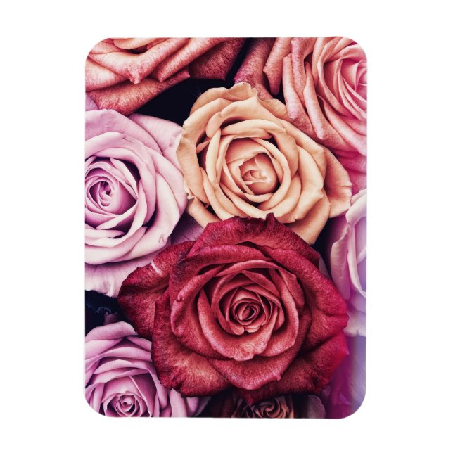 Rosa ros Bouquet Photo Magnet (Vertikal)
