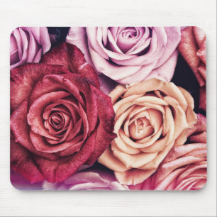 Rosa ros Bouquet Photo Musmatta
