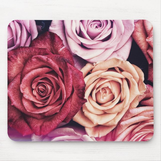 Rosa ros Bouquet Photo Musmatta (Framsidan)
