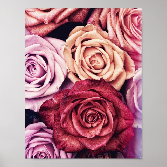 Rosa ros Bouquet Photo Poster (Framsidan)