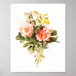 Rosa ros Bouquet Vintage Blommigt Poster