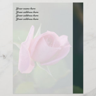 Rosa ros brevhuvud