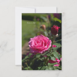Rosa ros & Bud Anteckningskort