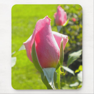 Rosa ros Bud Mouse Pad Musmatta