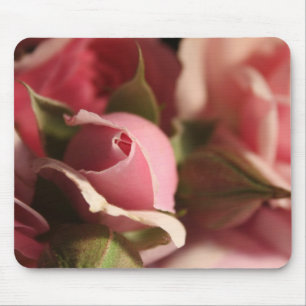 rosa ros Bud Musmatta