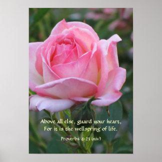 Rosa ros Bud ~ Proverbs 4:23 Poster