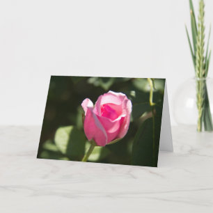 Rosa ros Bud Sympathy Kort