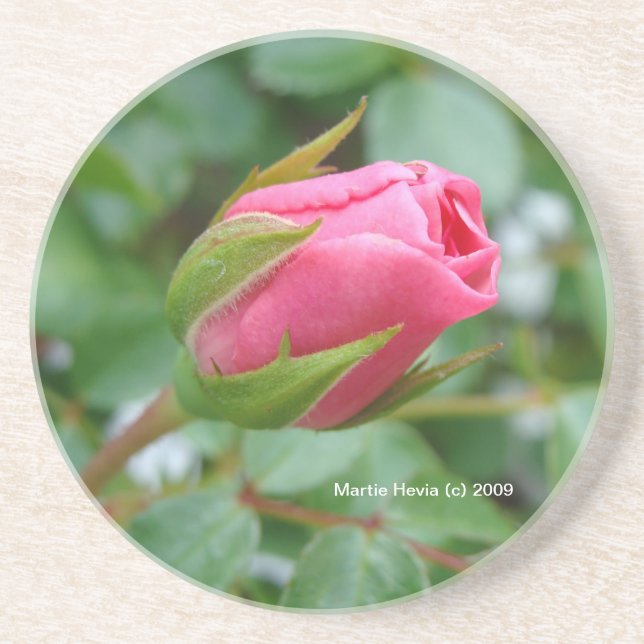 Rosa ros Bud - Underlägg (Framsidan)