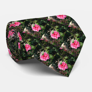 Rosa ros Bush med Ro Buds, Slips