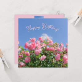 Rosa ros bush under blå himmel, anpassningsbar