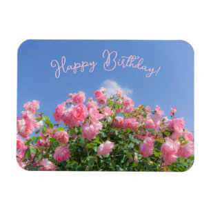 Rosa ros bush under blå himmel, anpassningsbar magnet