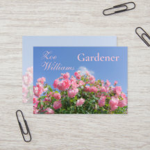 Rosa ros bush under blå himmel, anpassningsbar