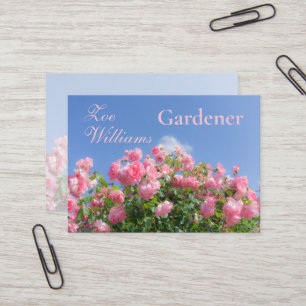 Rosa ros bush under blå himmel, anpassningsbar visitkort