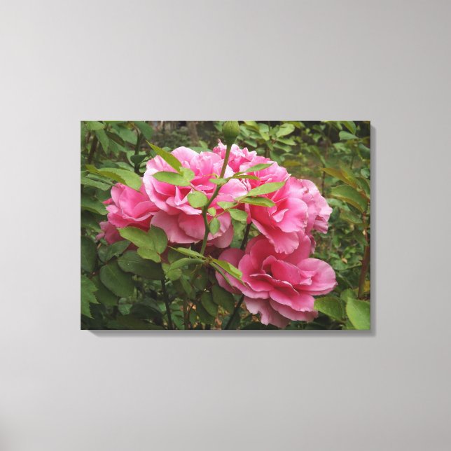 Rosa ros canvastryck (Framsida)