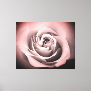 Rosa ros canvastryck