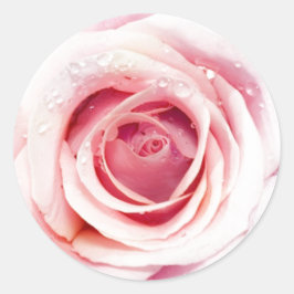 Rosa ros Circle Stickers Runt Klistermärke