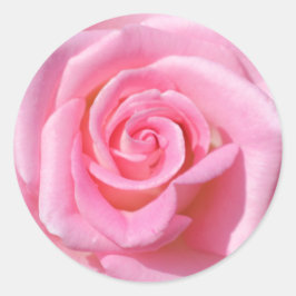 Rosa ros Circle Stickers Runt Klistermärke