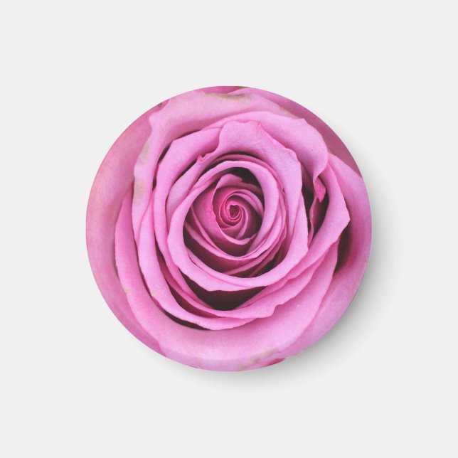 Rosa ros Cirkelmagnet Magnet (Framsidan)