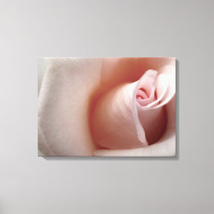 Rosa ros Cloud Canvastryck