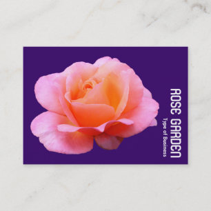 Rosa ros (djup Lila) Visitkort