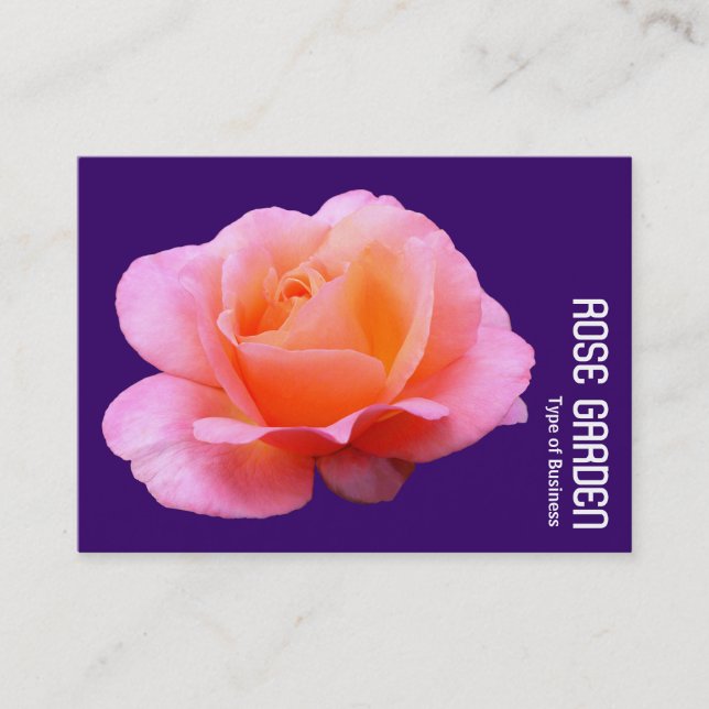 Rosa ros (djup Lila) Visitkort (Framsida)