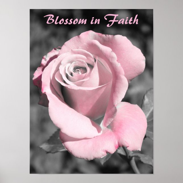 Rosa ros Faith Poster (Framsidan)