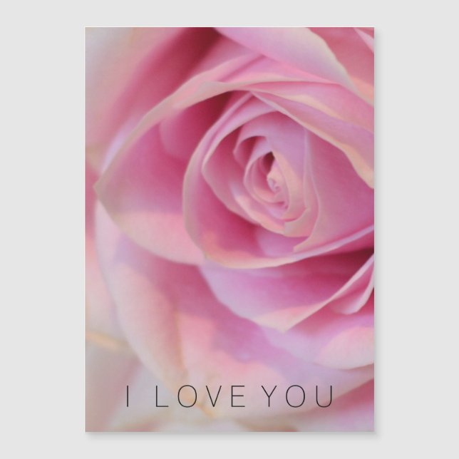 Rosa ros Flower (Framsida)